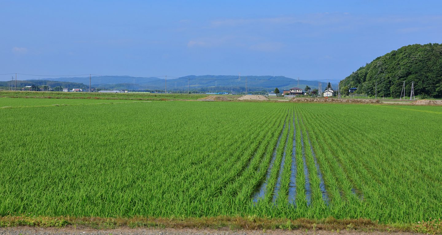 地球温暖化対策に微生物を｜グリーンジョブのエコリク コラム