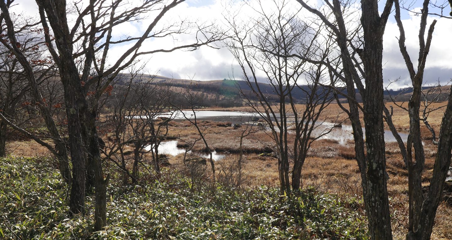 肥沃な土は平等ではなく、そして肥沃な土は減っている｜グリーンジョブのエコリク コラム