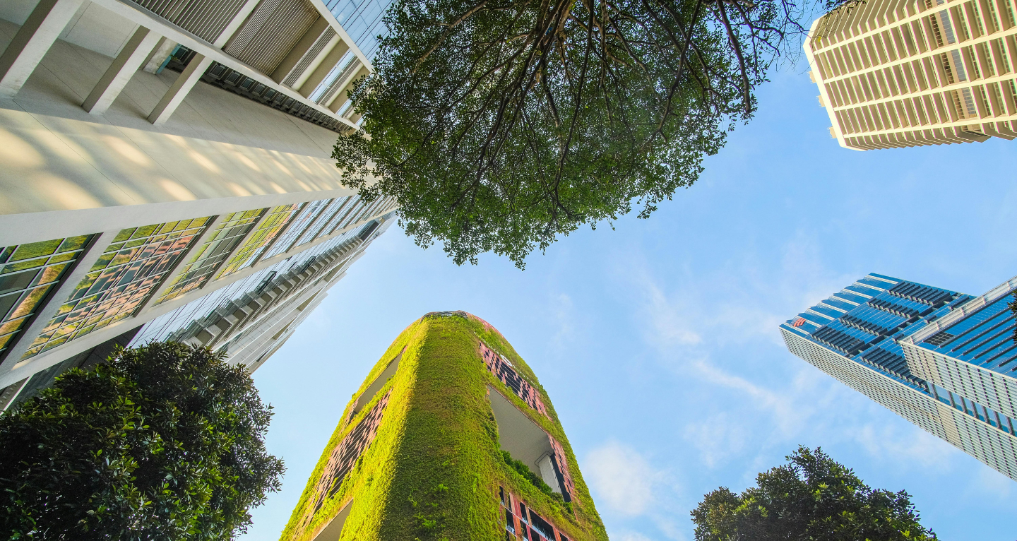 ISSBがIFRS S2改訂案を2025年4月28日に公表 |グリーンジョブのエコリク コラム