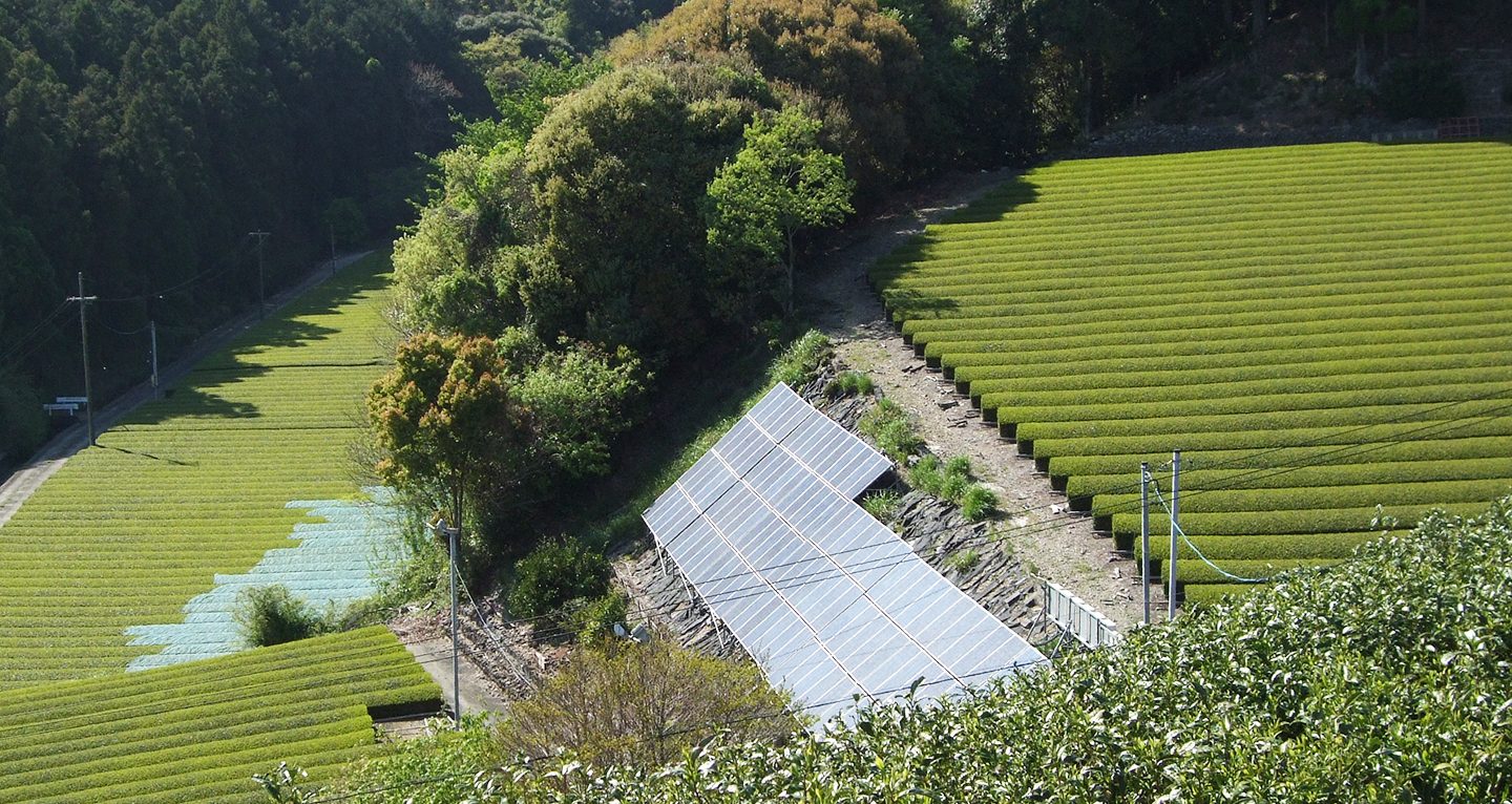 静岡県茶産業の未来を拓く！碾茶栽培農地における営農型太陽光発電所共同開発 ｜グリーンジョブのエコリク コラム